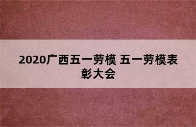 2020广西五一劳模 五一劳模表彰大会